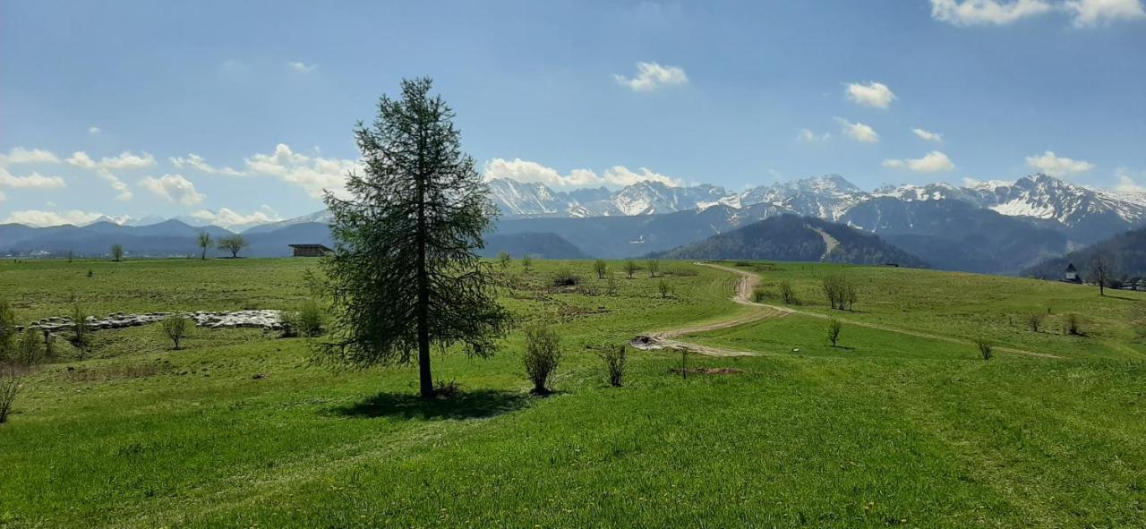 Pokoje Goscinne Przeklasa Pawel Zakopane Buitenkant foto