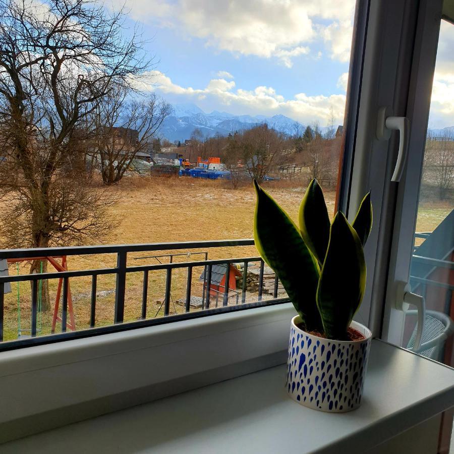 Pokoje Goscinne Przeklasa Pawel Zakopane Buitenkant foto
